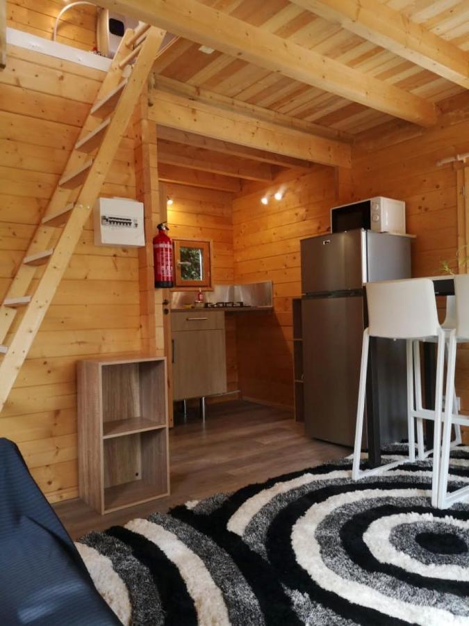 Le Petit De Shantay Youstay